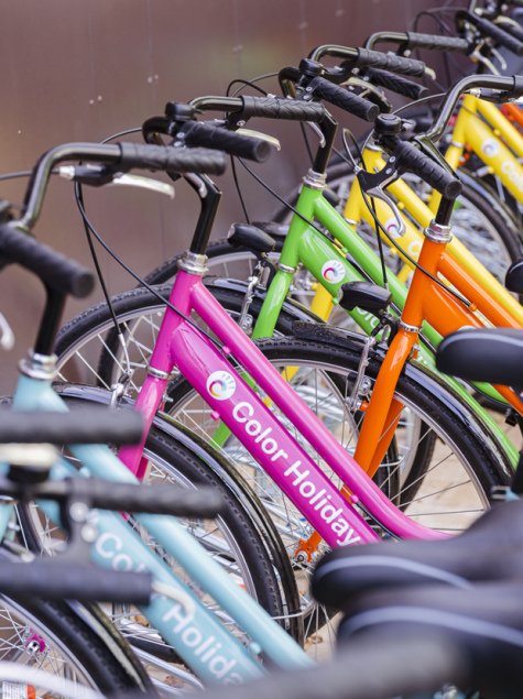 Biciclette colorate allineate, pronte per il noleggio, con marchio 'Color Holiday'.